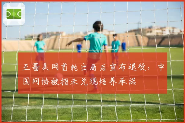 王蔷美网首轮出局后宣布退役,中国网协被指未兑现培养承诺