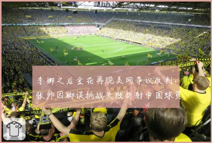 李娜之后金花再现美网争议改判，张帅因脚误挑战失败折射中国球员规则适应短板？