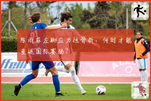 陈雨菲左脚应力性骨折，何时才能重返国际赛场？